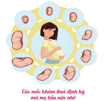 Lịch khám thai định kỳ chuẩn mẹ bầu nên biết